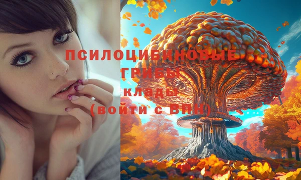 каннабис Корсаков