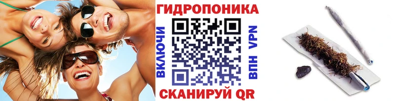 Купить закладки Нововоронеж Бошки марихуана тримм